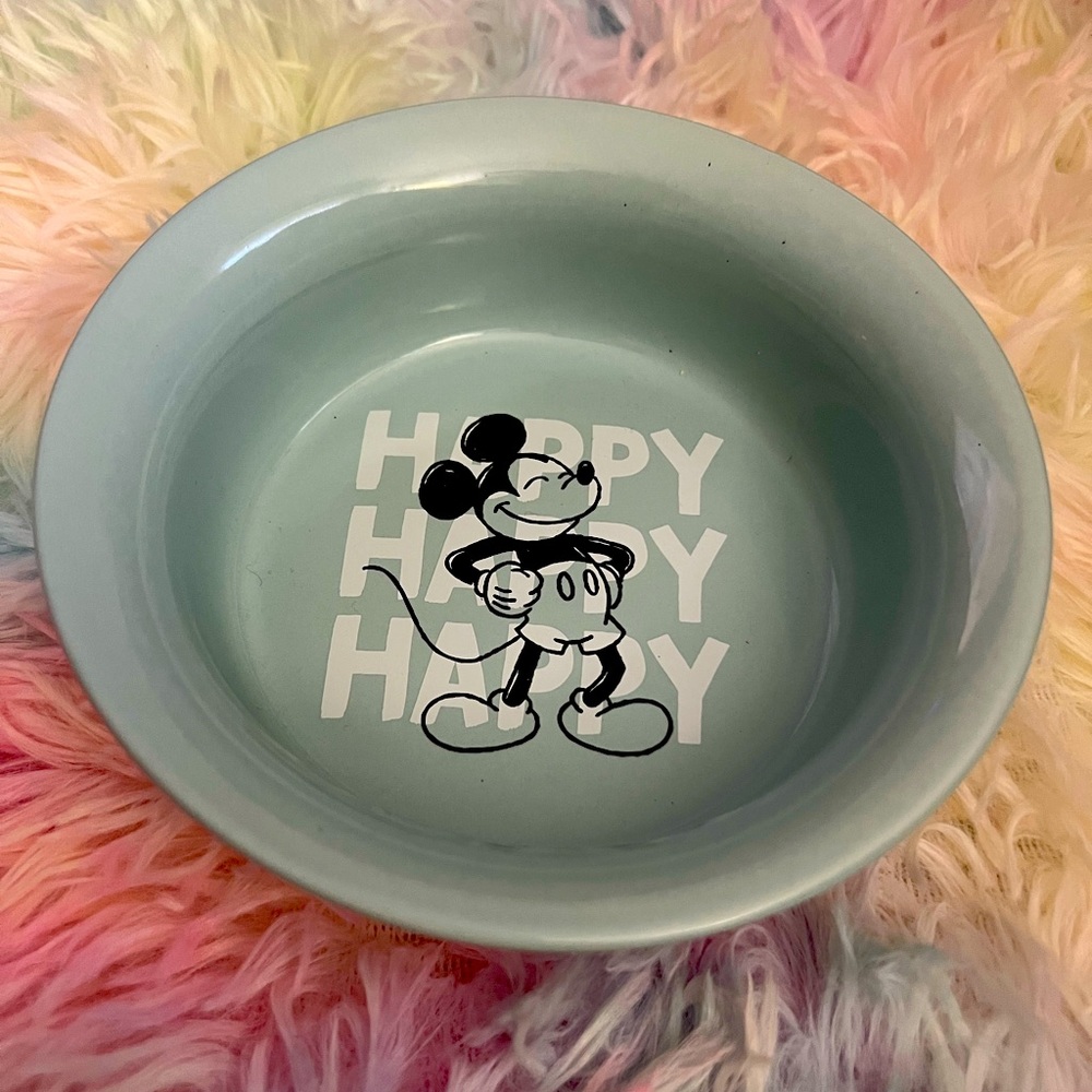 Disney Mickey Mouse Stoneware Pet Bowl